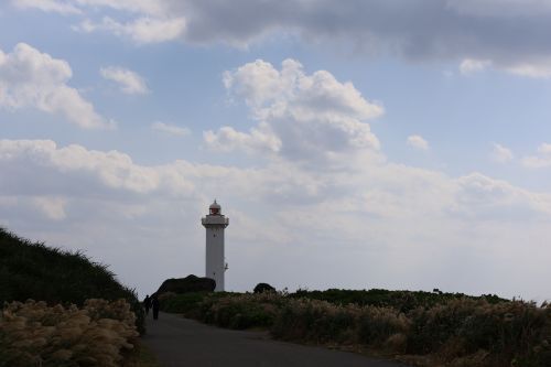 2025.03.17.07seesaa.JPG
